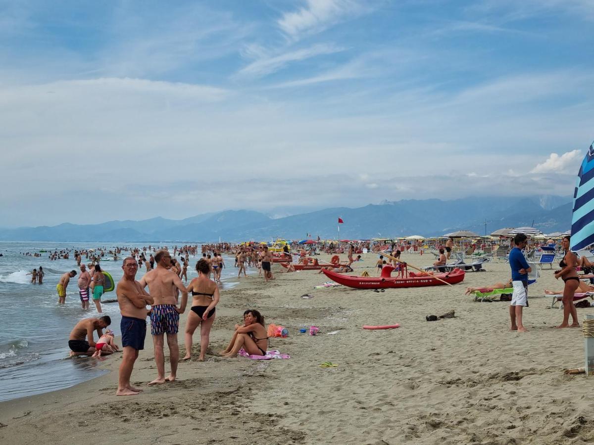 Chalet 4 Or 6 Persons Toscana Viareggio Camping Bosco Verde Italie Torre del Lago Puccini Dış mekan fotoğraf