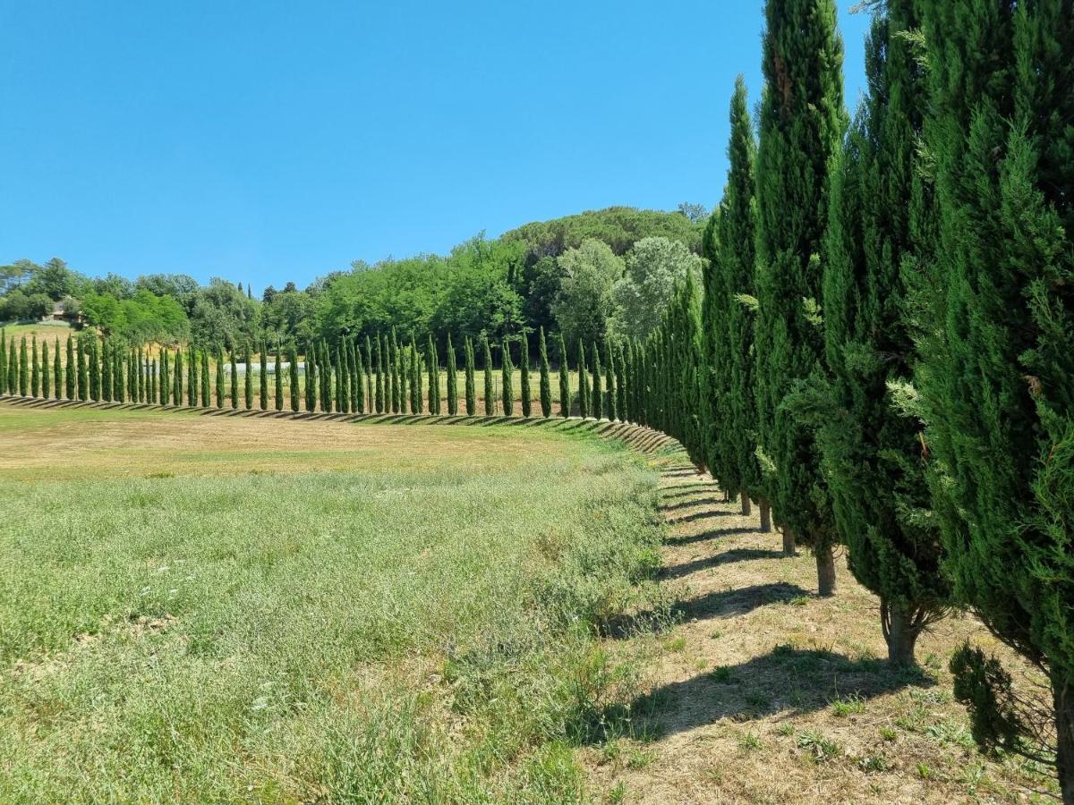 Chalet 4 Or 6 Persons Toscana Viareggio Camping Bosco Verde Italie Torre del Lago Puccini Dış mekan fotoğraf